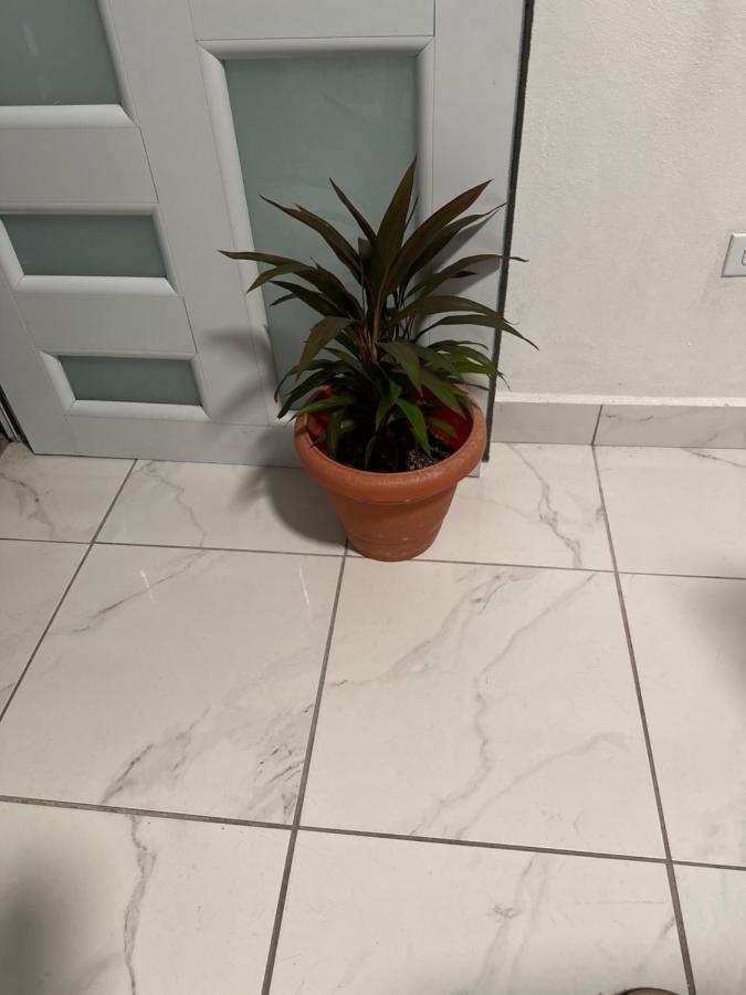Second Floor 2Br Apt In The Center Of Santurce Apartment San Juan Exterior photo